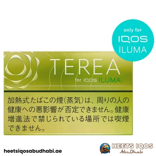 TEREA Bright Menthol